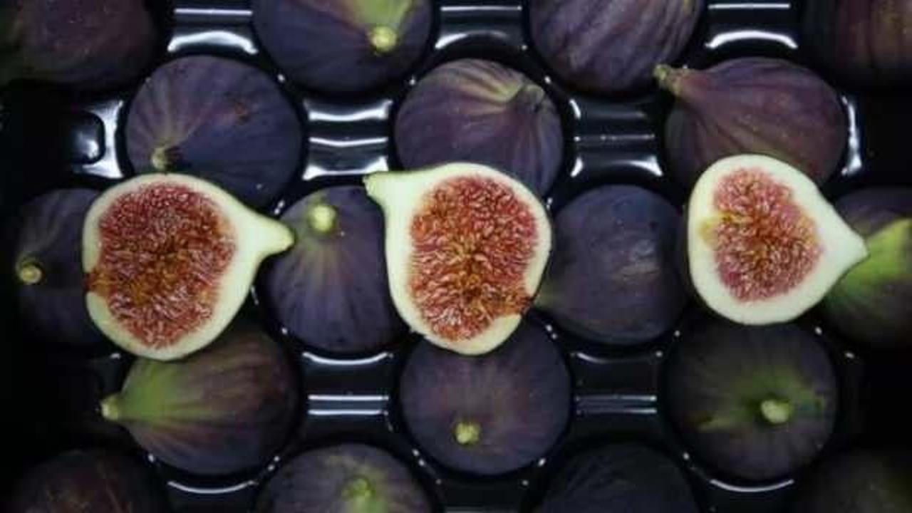 'Bursa siyahı' incirin bu sezonki ihracat yolculuğu başladı