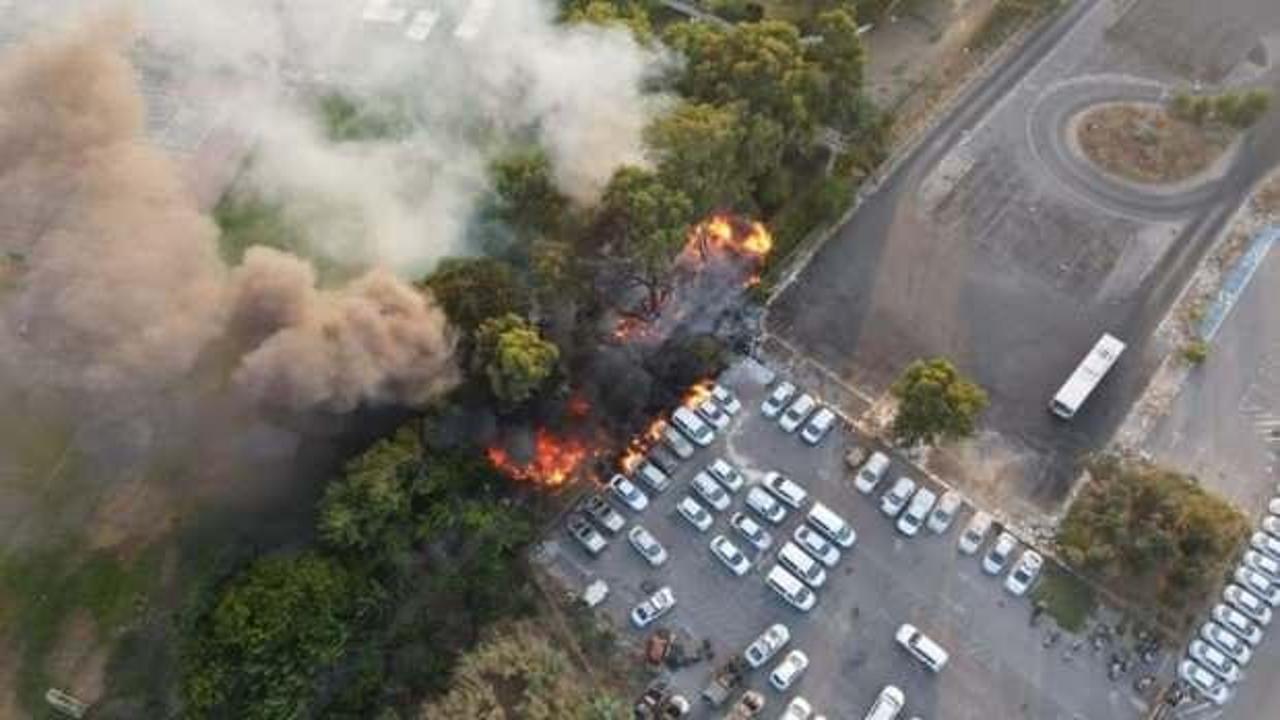 İsrail'de parkta çıkan yangın araçlara sıçradı