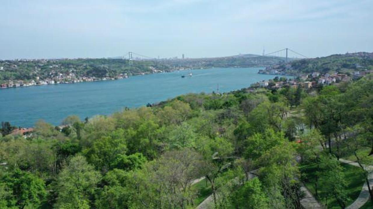 İstanbul'da ormanlara giriş yasağı 30 Eylül'e kadar uzatıldı