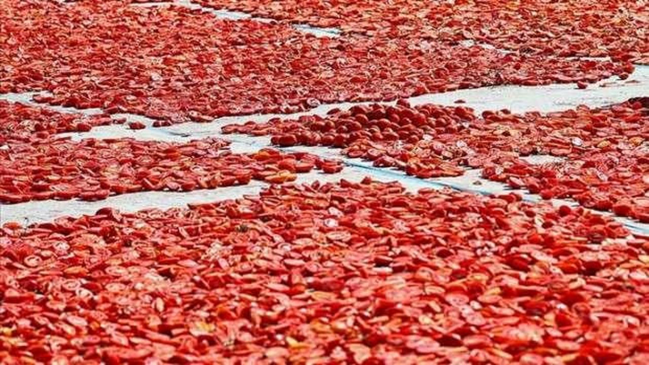 Kuru domates ihracatında hedef 100 milyon dolar