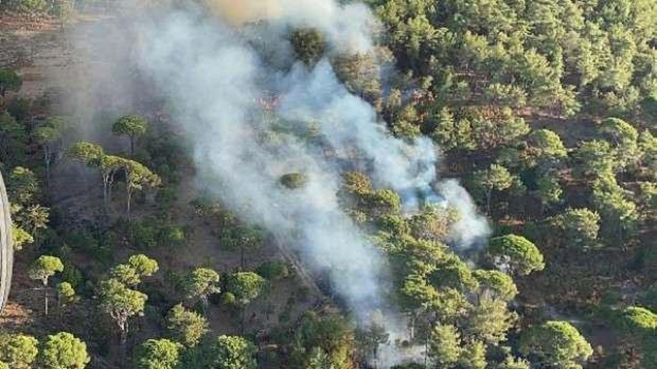 Milas'ta ormanda çıkan yangın, tarım arazilerine sıçradı