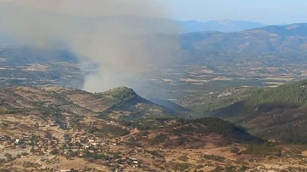 Son dakika: Balıkesir'de orman yangını