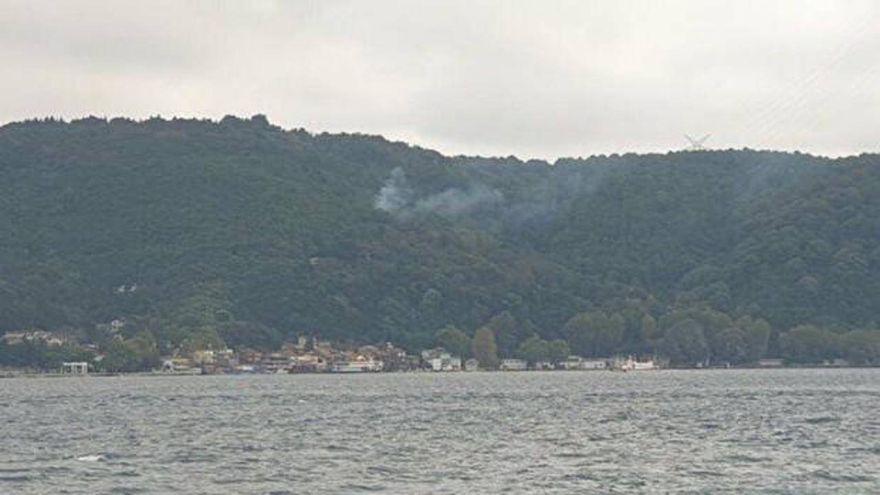 Son Dakika: Beykoz'da orman yangını! 