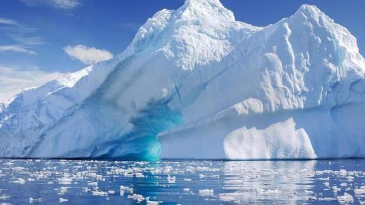 Türk bilim insanları Antarktika'da omurgasız hayvanları inceliyor