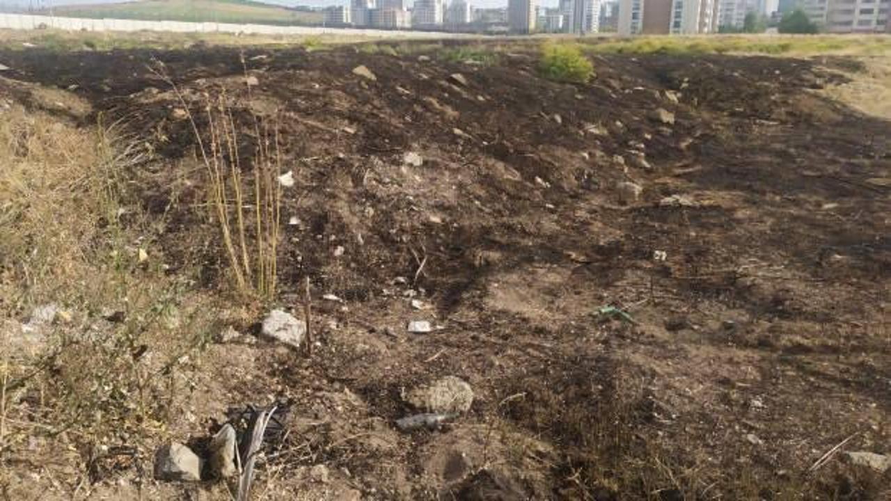 Ankara&rsquo;da yıldırım d&uuml;şen otluk alanda yangın &ccedil;ıktı    