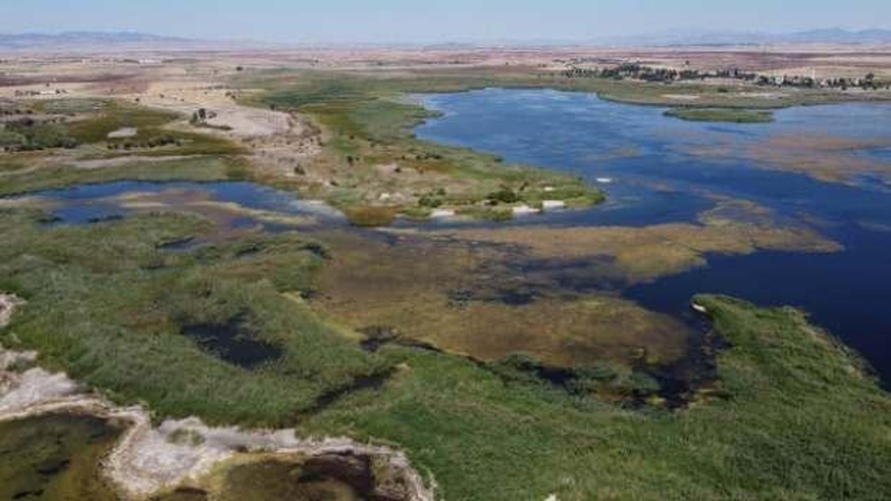 Beyşehir G&ouml;l&uuml;'nde adacıklar ortaya &ccedil;ıktı