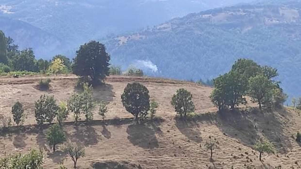 Bursa&rsquo;da yıldırım sonucunda orman yangını başladı