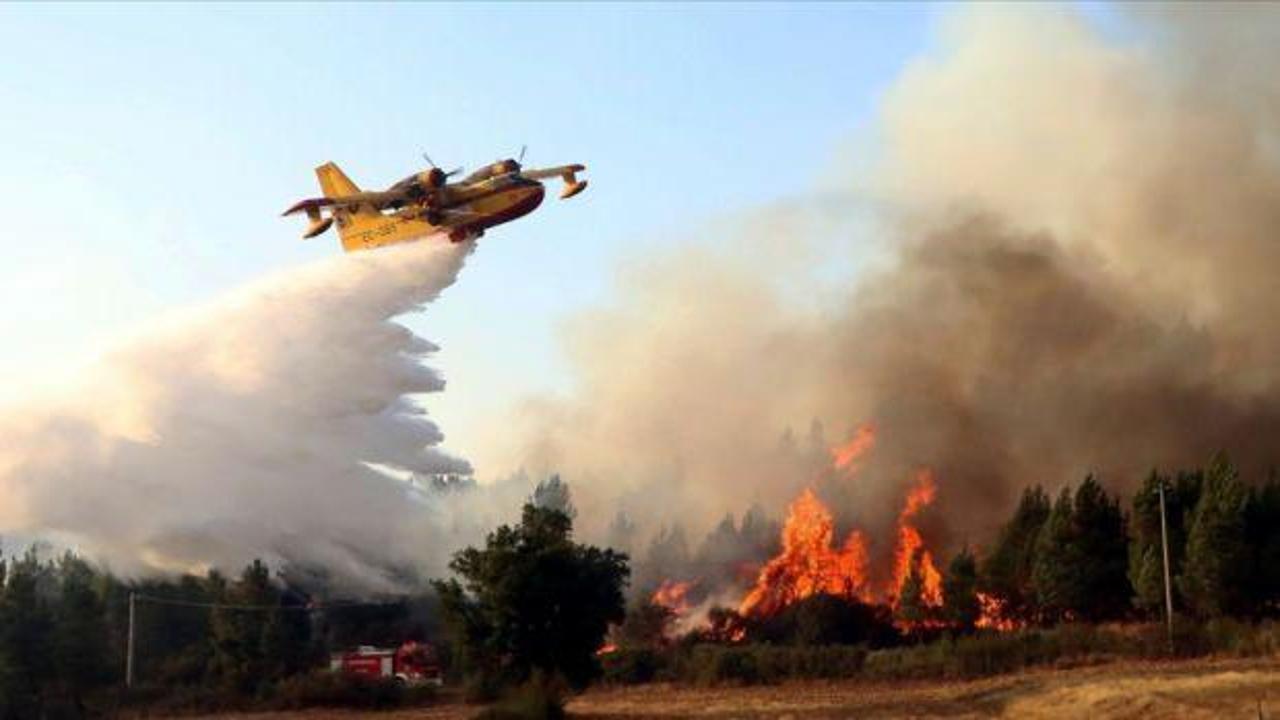  İspanya'daki yangınlar 6 gündür devam ediyor