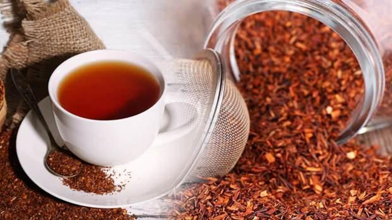 Rooibos çayı faydaları nelerdir? Rooibos çayı ne kadar tüketilir?