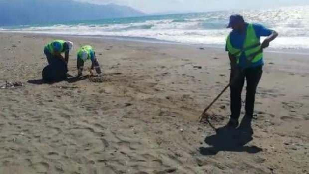 Samandağ sahilinde petrol atıkları temizliği sürüyor