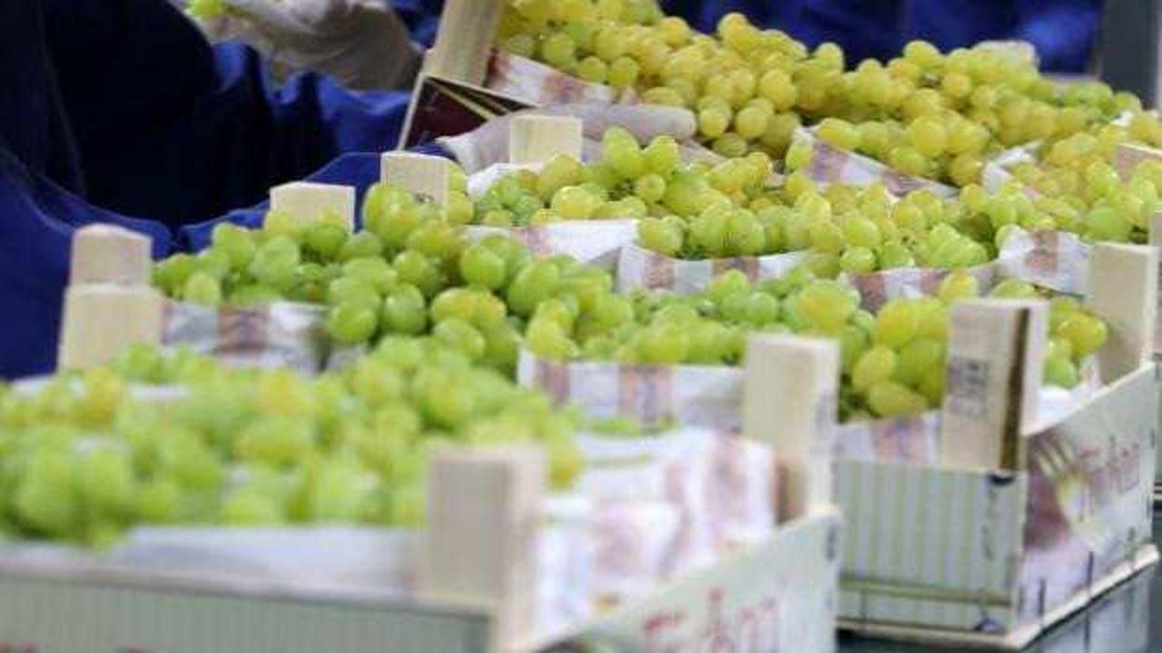 Yaş üzüm ihracatında yüzde 22 artış