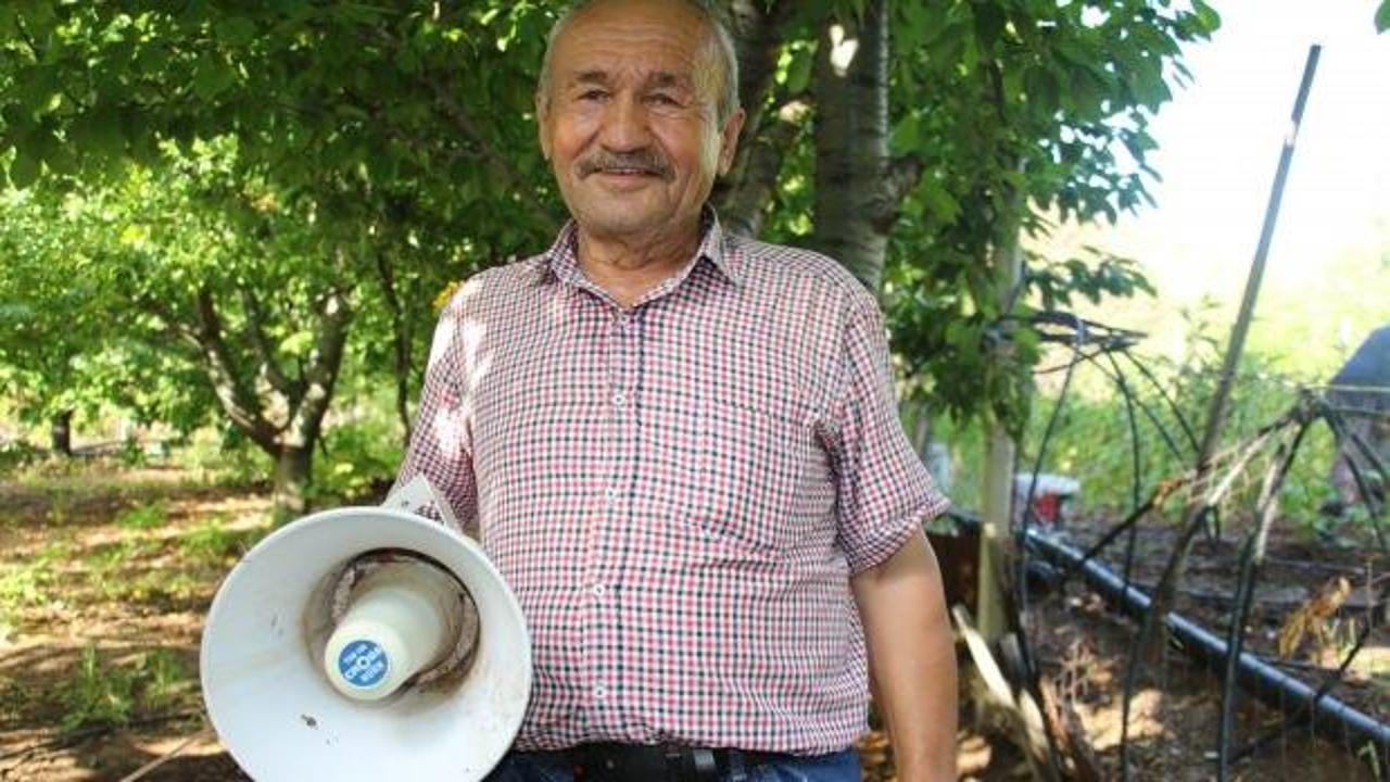 Bah&ccedil;esine dadanan domuzdan oyun havasıyla kurtuldu