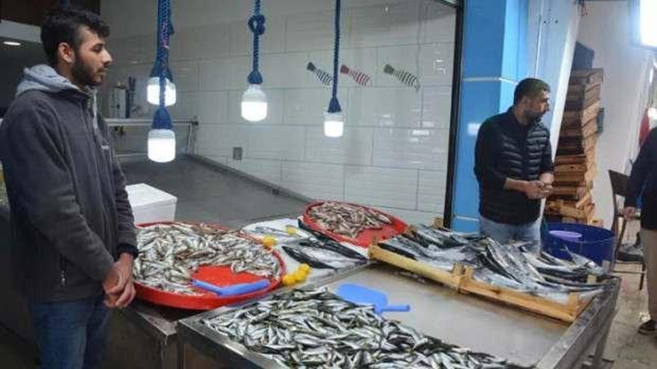Karadeniz'de fırtına nedeniyle balık fiyatları katlandı