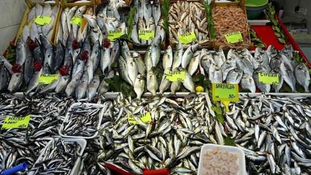 Çanakkale'de balık tezgahlarında bolluk yaşanıyor