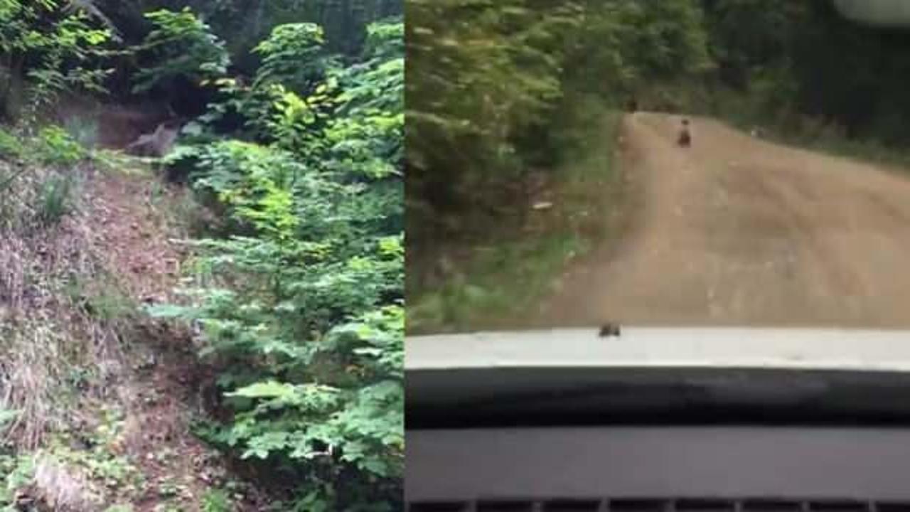 Karab&uuml;k&rsquo;te seyir halindeyken bir anda &ouml;nlerine &ccedil;ıktılar