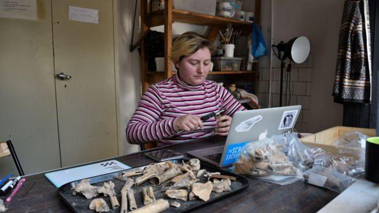 ABD'li zooarkeolog, Hattuşa'da Hititlerin hayvanlarla bağlantısını araştırıyor