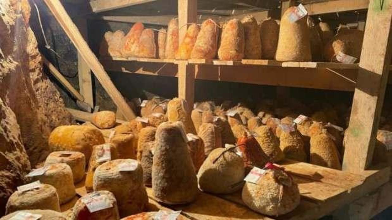 Mağarada olgunlaştırılıyor, kilosu 150 liradan satılıyor