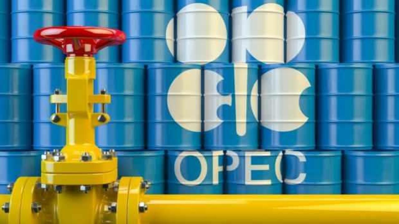 OPEC+ ülkelerinden petrol üretim kesintisi için son karar