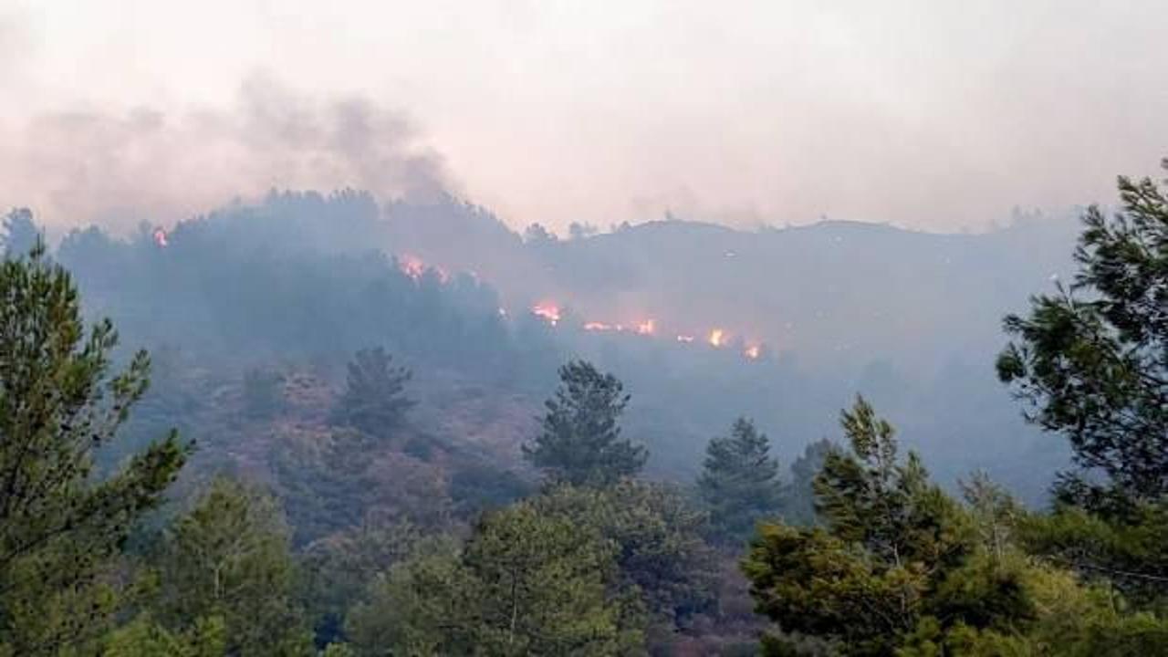 Son Dakika... Bakan Pakdemirli duyurdu: Muğla'da orman yangını kontrol altında! 