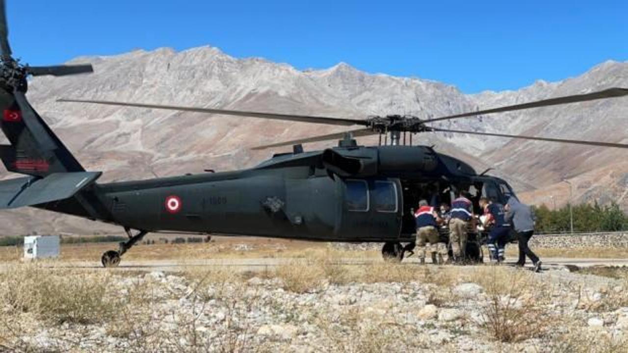 Tunceli'de ayı çobana saldırdı! Askeri helikopter yetişti