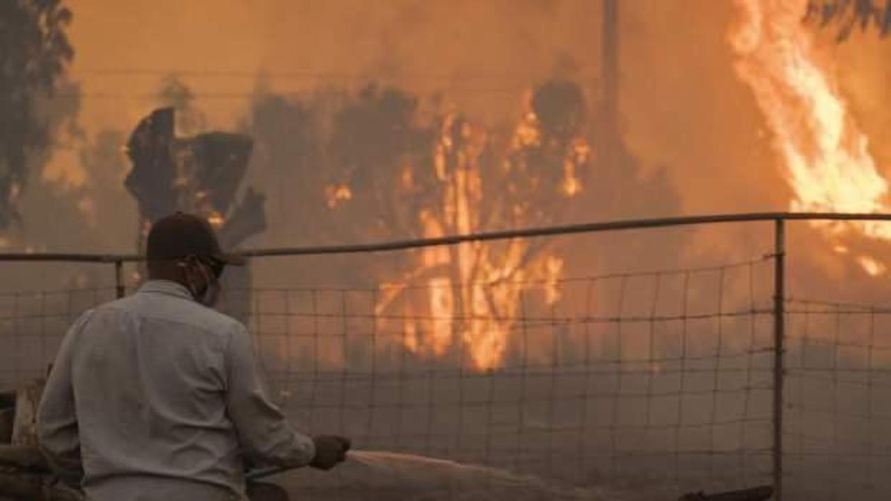 California'da yangın: Olağanüstü hal ilan edildi
