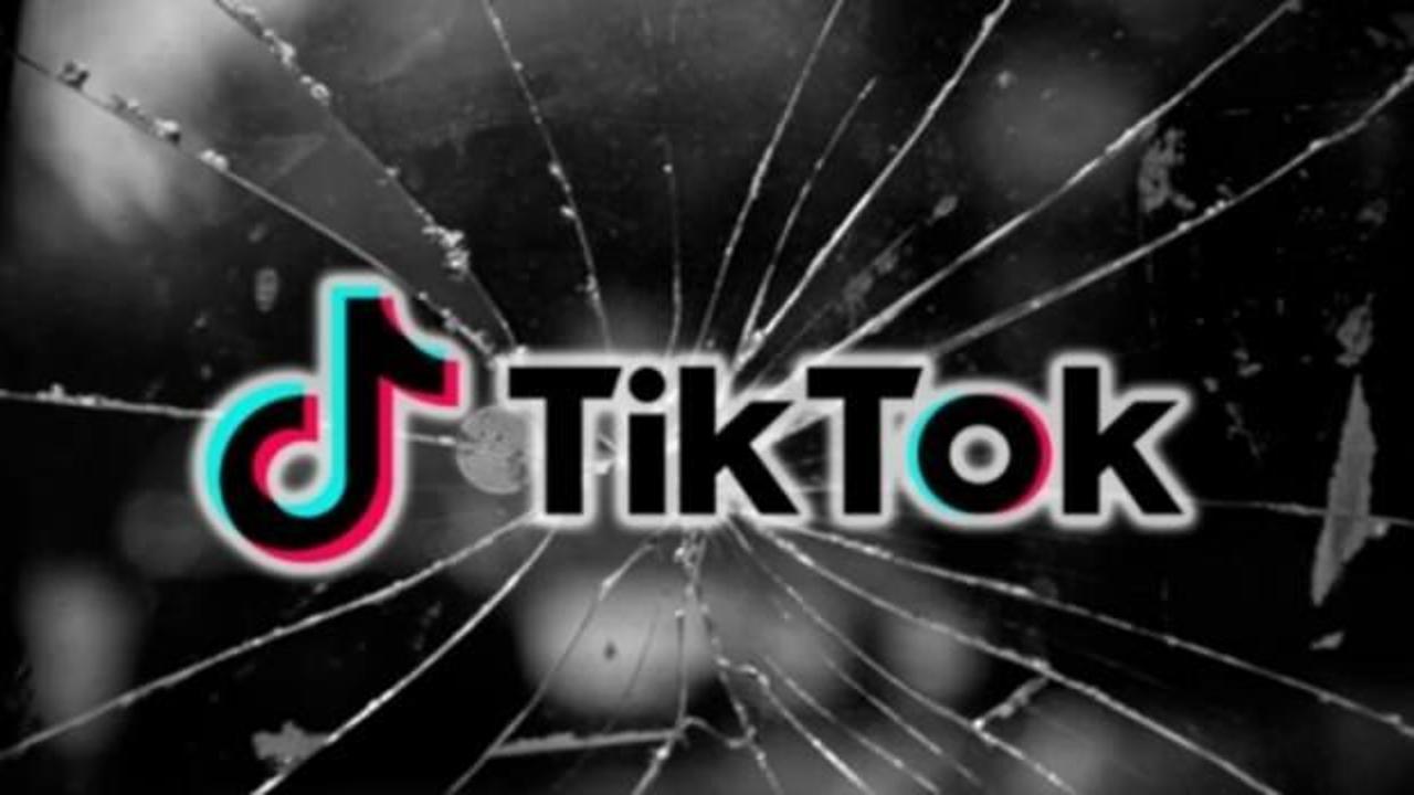 TikTok 81 milyon videoyu sildi