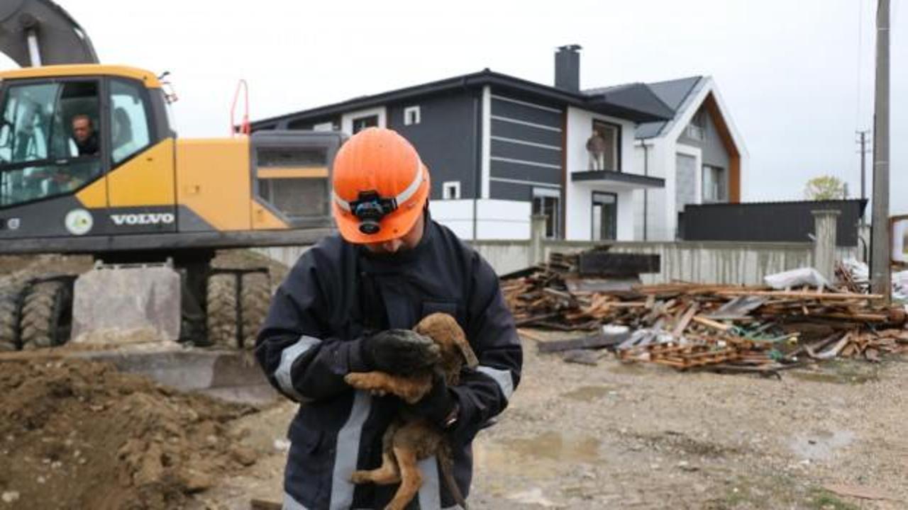 Bolu’da yavru köpeğin imdadına itfaiye koştu!