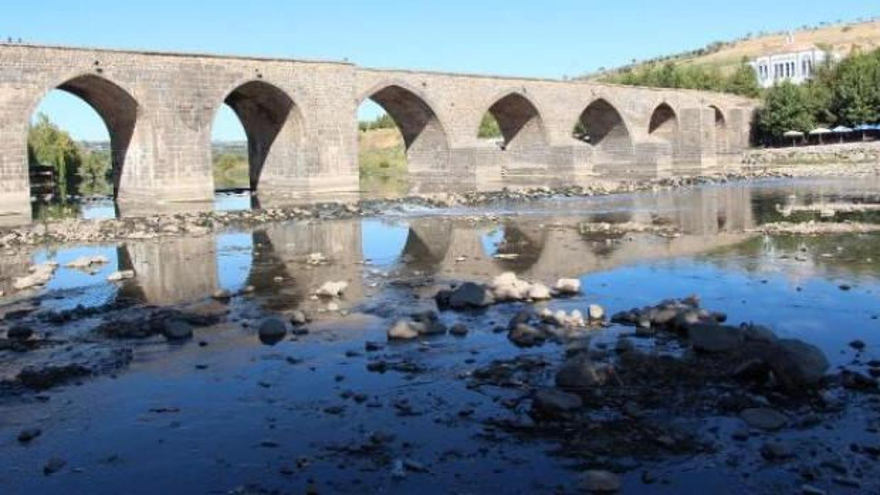 Su seviyesi azalan Dicle Nehri’nde ölü balıklar kıyıya vurdu
