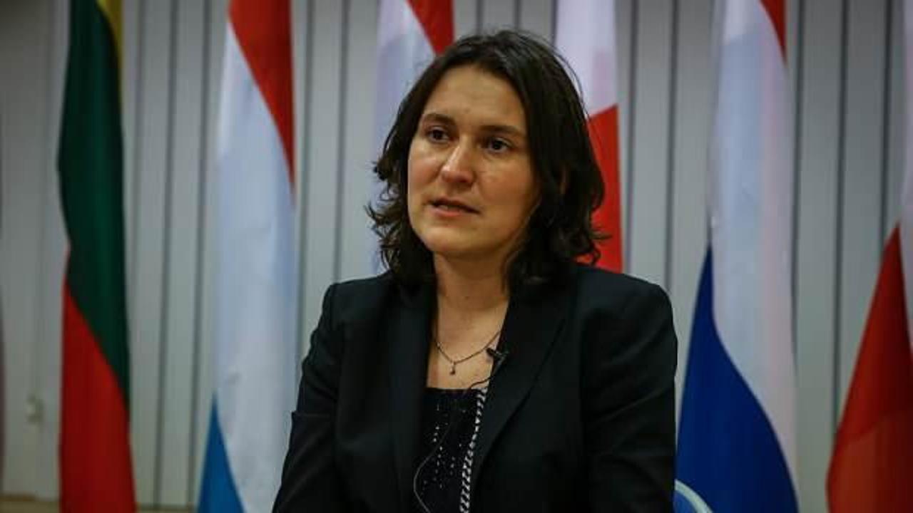 Büyükelçilerin geri adımı Türk düşmanı Kati Piri'yi rahatsız etti