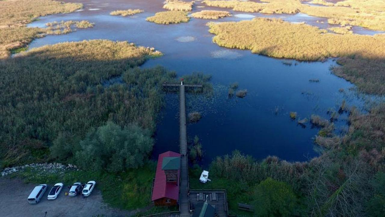 G&ouml;&ccedil;men kuşların uğrak mekanı Efteni Kuş Cenneti doğaseverlerin de rotasında