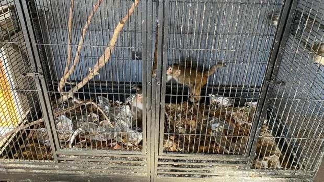 Konya Polisi doğa ve hayvanlara karşı işlenen suçlarda teyakkuzda