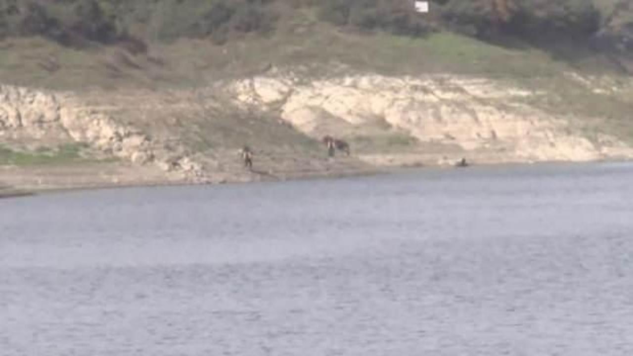 Alibeyköy Barajı'ndaki suya gömülü otomobil paniğe neden oldu 