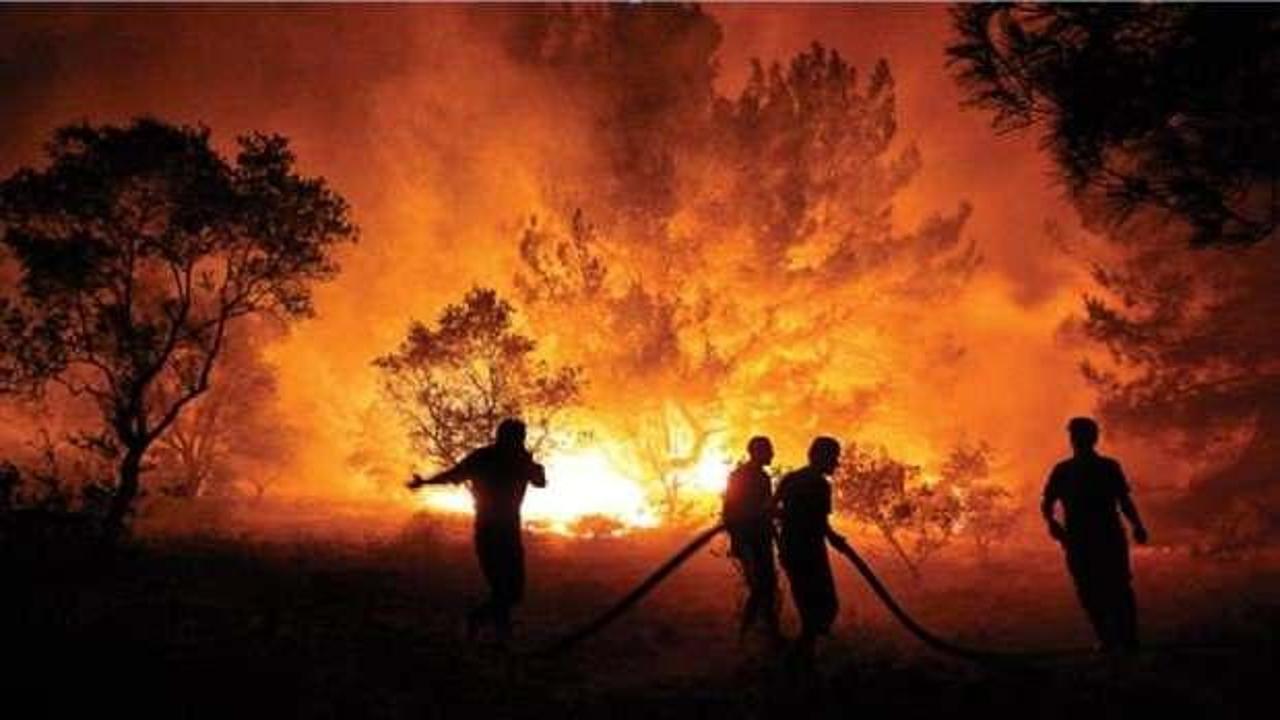 BAE'den Türkiye'ye orman yangınları ve selden etkilenen bölgeler için destek