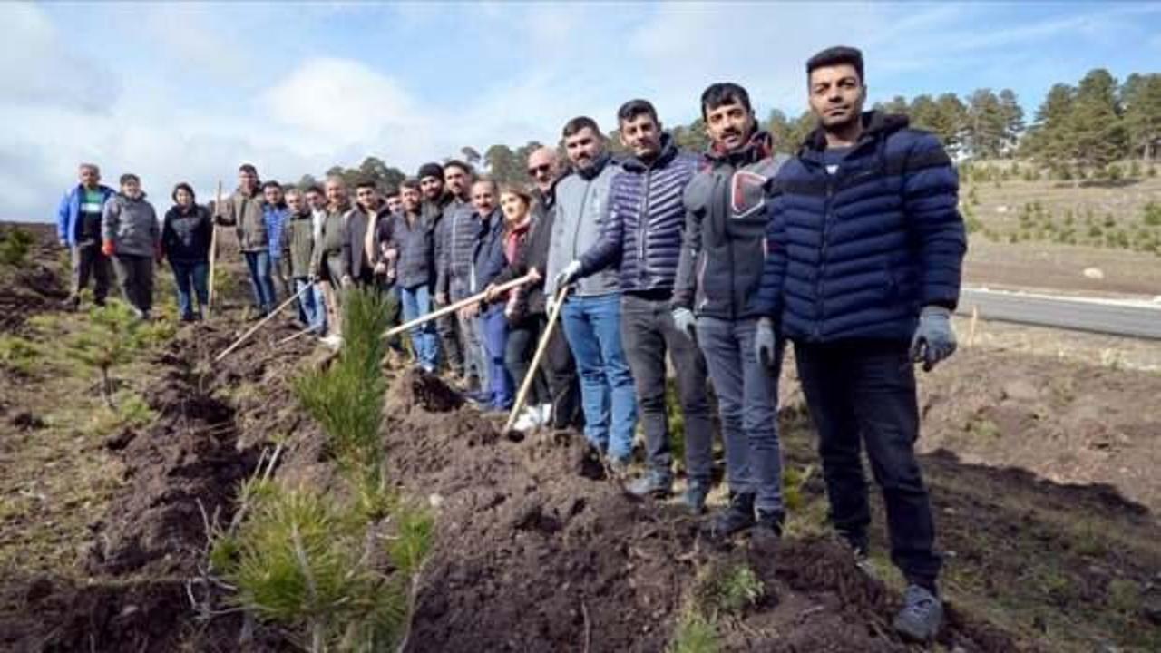 Kars'ta aynı lisenin mezunları 1000 fidanla hatıra ormanı oluşturdu