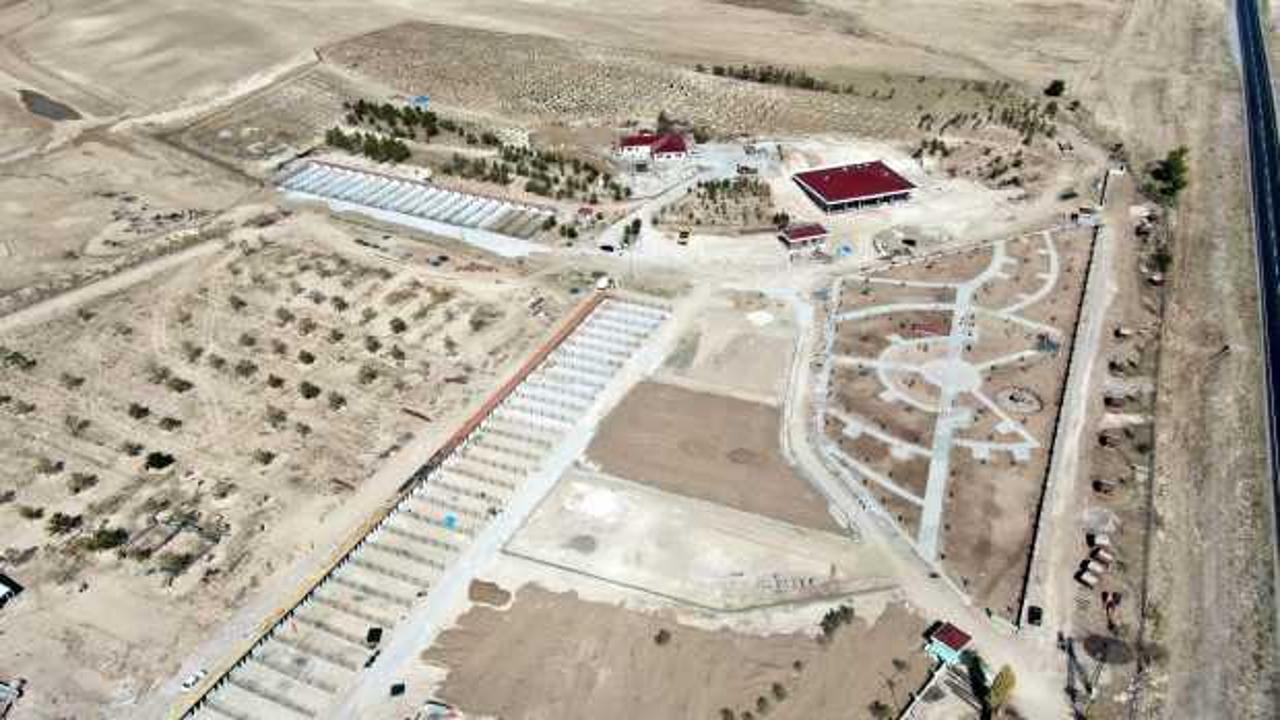 Sivas'ta eşi benzeri yok! K&ouml;peklerin 8 metrekarelik kul&uuml;besi var