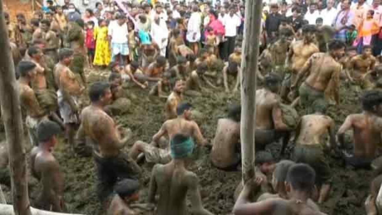 Hindistan'da inek dışkısıyla festival kutlaması yaptılar