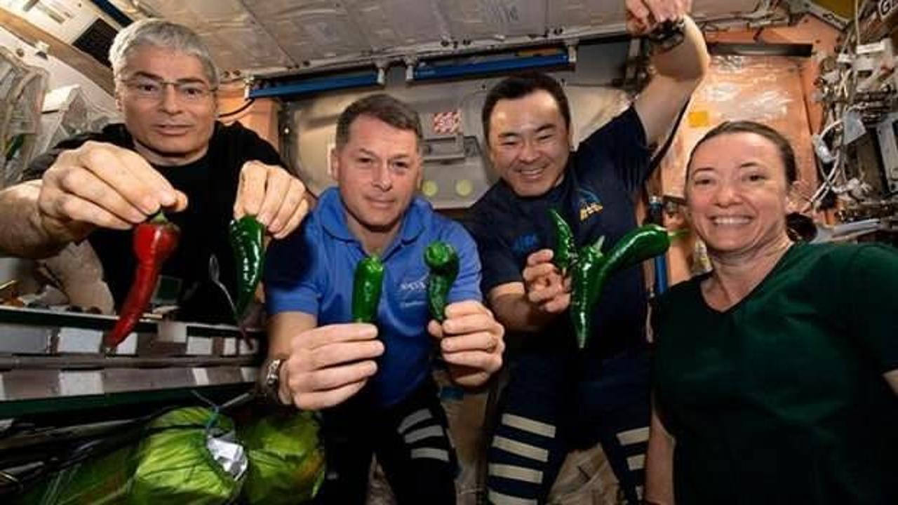 ISS'de tuvalet krizi: Astronotlar yetişkin bezi ile Dünya'ya dönecek