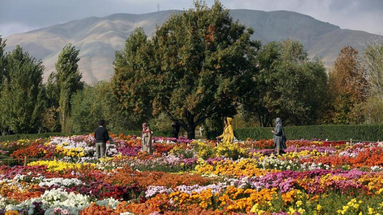 Tahran'da şehrin stresinden kaçmak isteyenlerin adresi: "İran Milli Botanik Bahçesi"