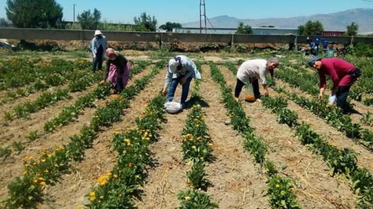 Yapı Kredi'den kadın çiftçilere özel kredi