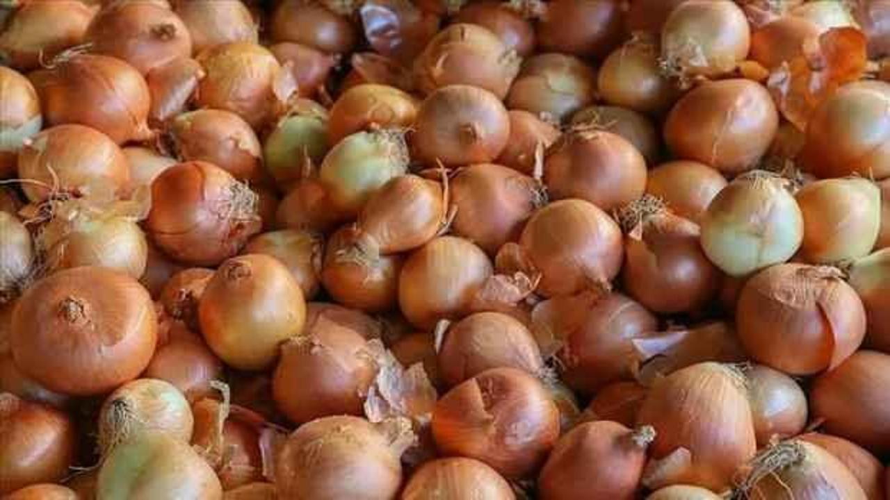 Amasya'da soğan üreticileri ihracat desteği istiyor