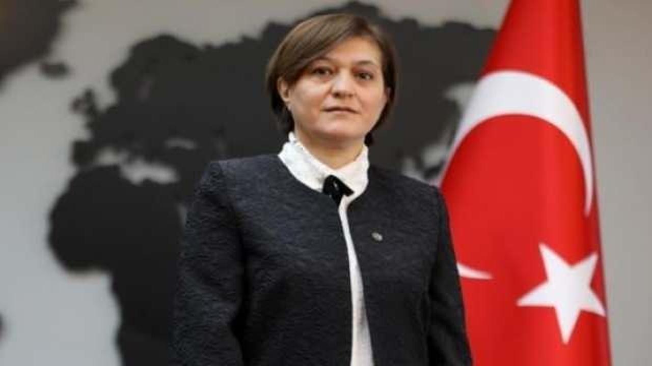 Erdoğan imzaladı: Aşkın Asan'a kritik görev