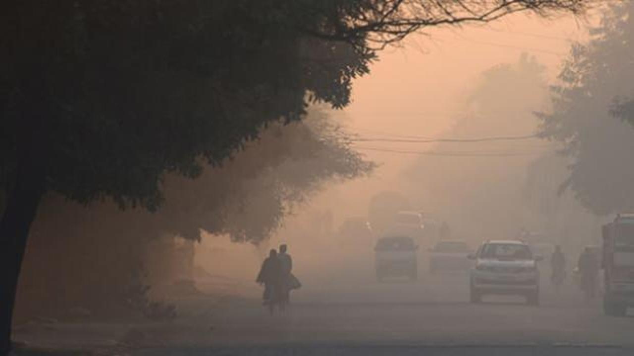 Hindistan'da "KOAH hastaları için hava kirliliğiyle mücadele" çağrısı