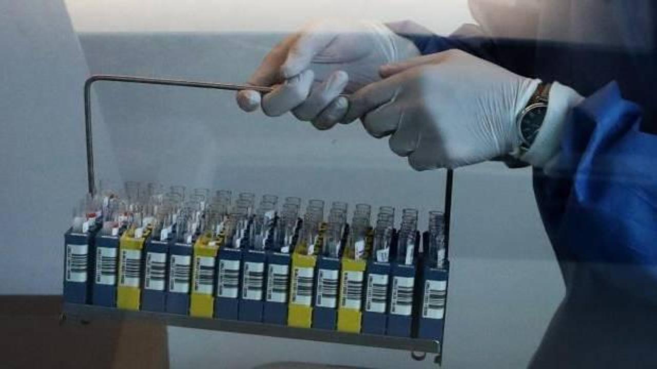 Belçika'da koronavirüs test merkezleri alarm veriyor: Kapasite aşıldı