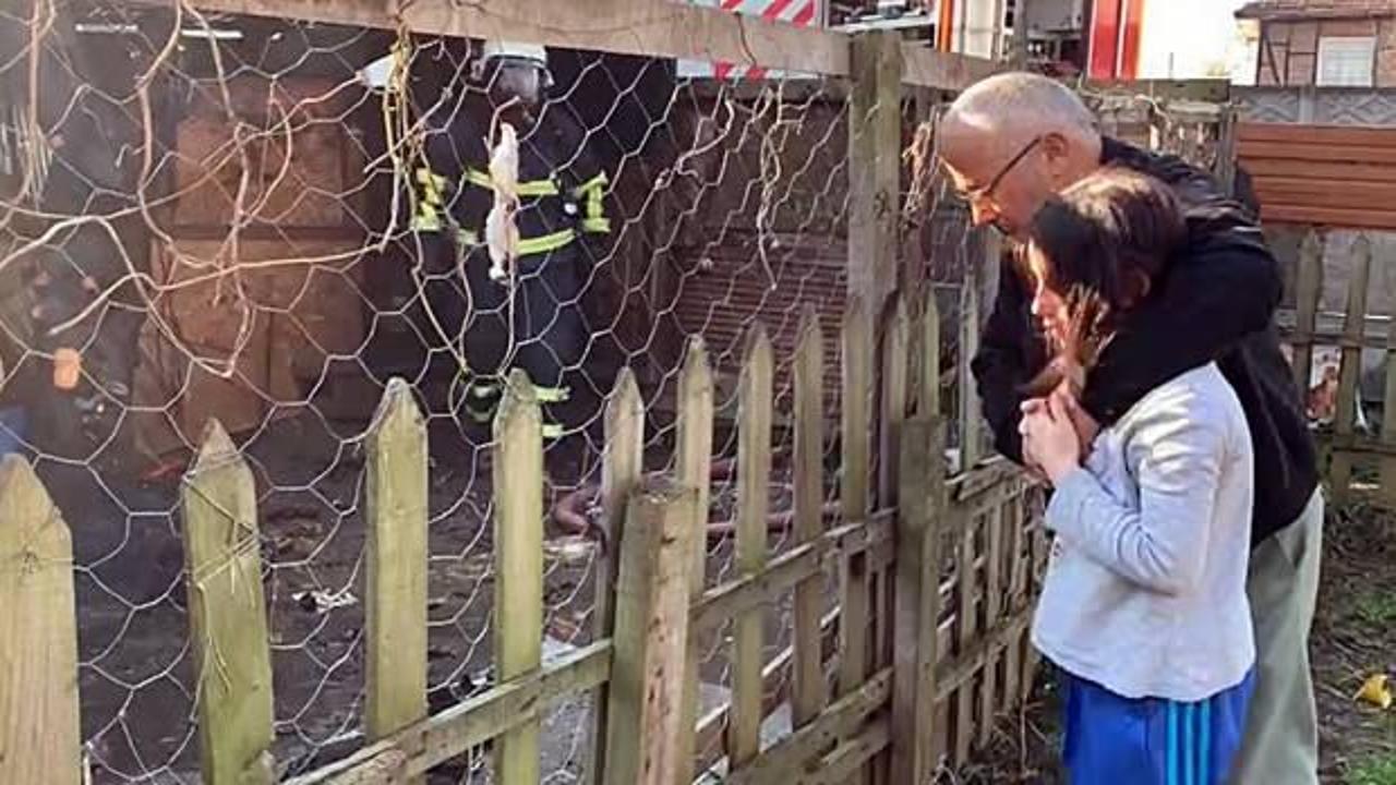 D&uuml;zce&rsquo;de feci olay! Barakada baktığı 11 yavru k&ouml;pek telef oldu