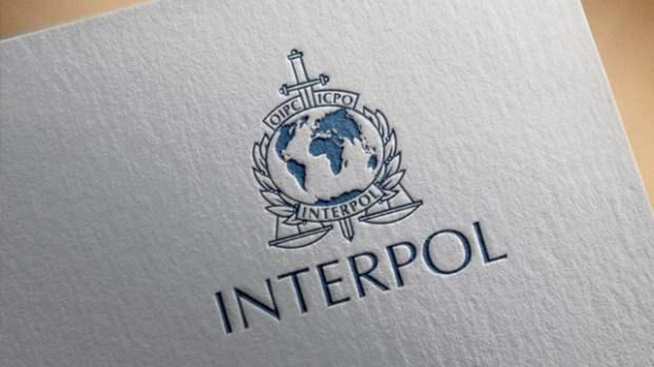 Interpol'ün 89'uncu başkanı İstanbul'da belirlenecek