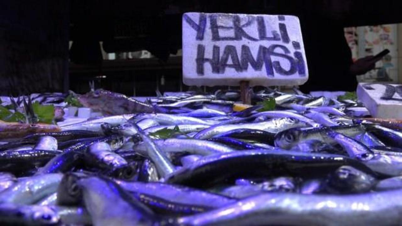 Su sıcaklığı arttı, hamsi Gürcistan ve Rusya'ya yöneldi