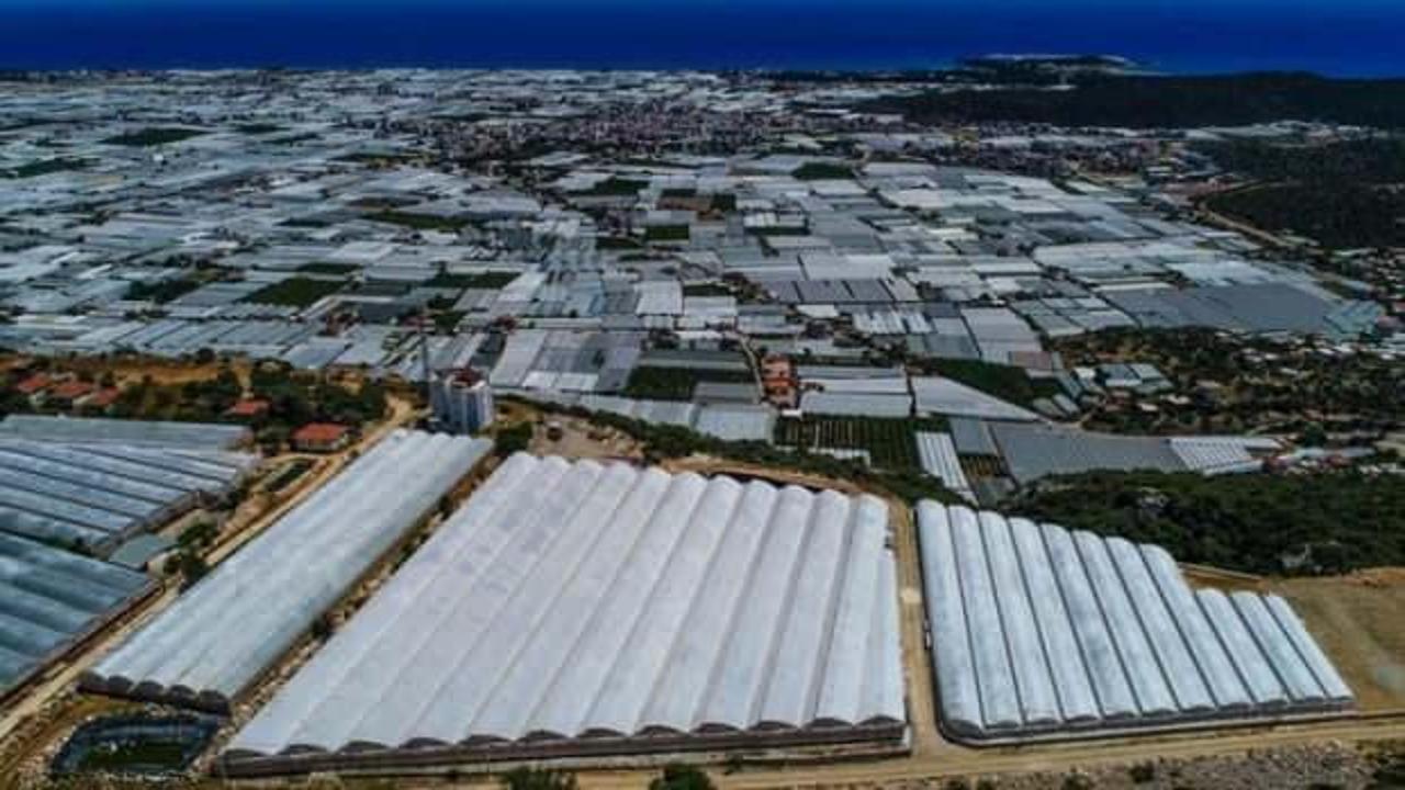 Türkiye örtü altı üretim alanı 80 milyon metrekareyi aştı