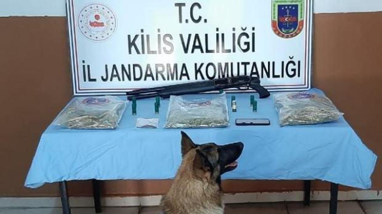 Kilis'te yasadışı kenevir eken 3 kişi yakalandı