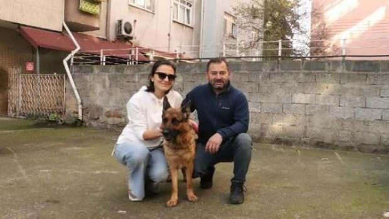 Çalınan köpekleri "Madam"ı buldular, baba tutuklandı, oğlu serbest