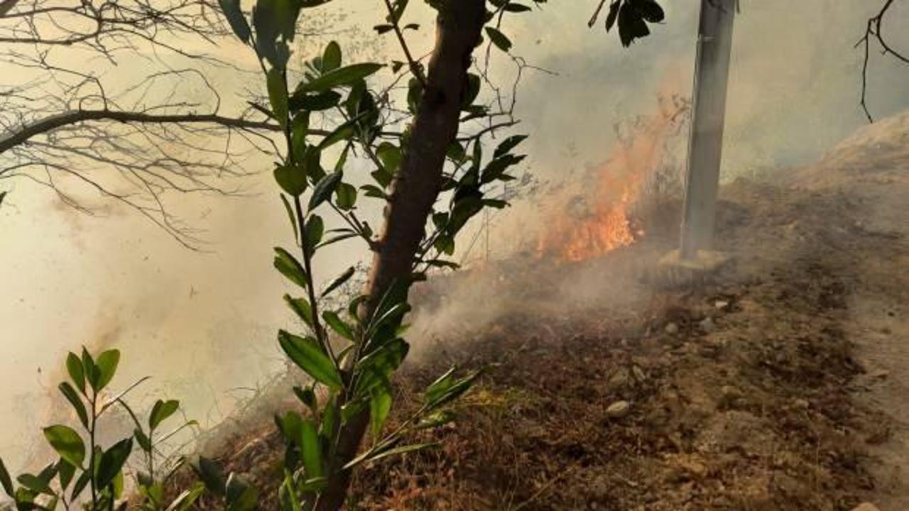 S&uuml;rmene&rsquo;de bah&ccedil;e temizliği orman yangınına sebep oldu! 